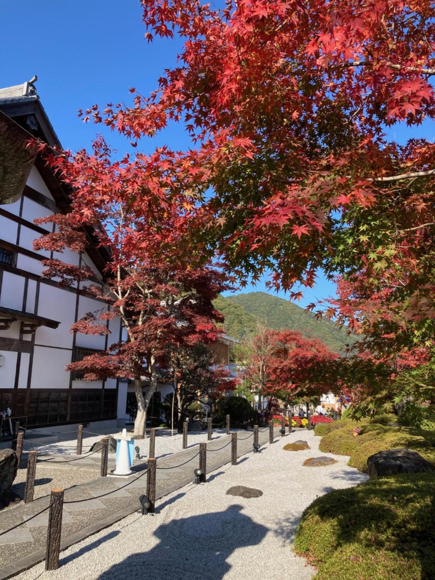 Sky Tree Inn Ⅱ（晴樹宿ⅱ） Tokyo Eksteriør bilde