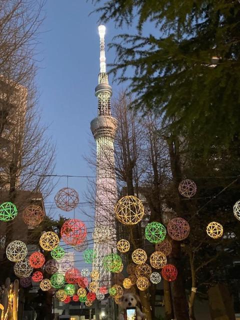 Sky Tree Inn Ⅱ（晴樹宿ⅱ） Tokyo Eksteriør bilde