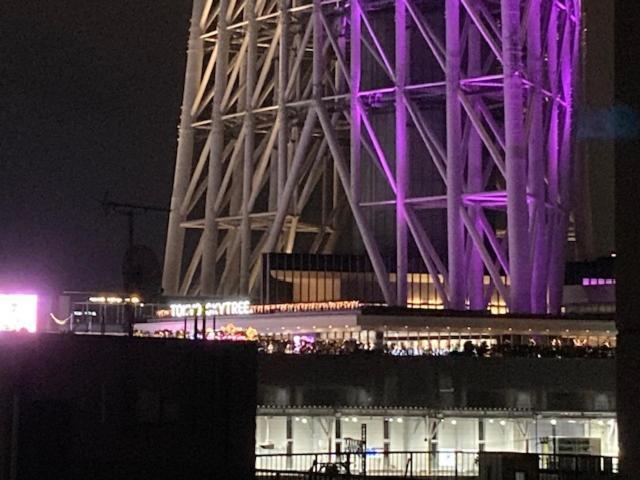 Sky Tree Inn Ⅱ（晴樹宿ⅱ） Tokyo Eksteriør bilde