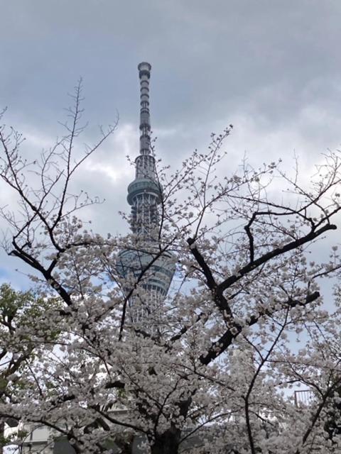 Sky Tree Inn Ⅱ（晴樹宿ⅱ） Tokyo Eksteriør bilde